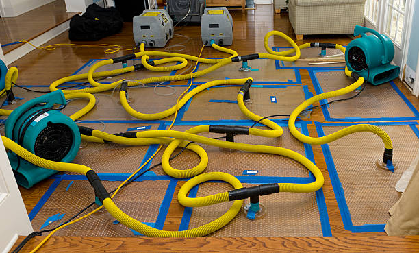 Professional Burst Pipe Water Damage technician working in Brooklyn, IN